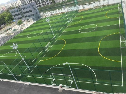 PE het Natuurlijke Kijken Kunstmatig Gras 50mm van de Voetbalgrond
