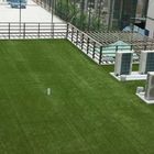 Het Kunstmatige Gras van polyethyleen Lage Kosten op Vlak Dak 20-40 Mm Hoogte