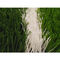 PE het Natuurlijke Kijken Kunstmatig Gras 50mm van de Voetbalgrond