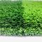 Synthetisch Openlucht Kunstmatig Gras voor Voetbalgrond 25mm 30mm 35mm