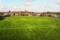 PE 50mm Gebied van de het Grasvoetbal van het Voetbal het Kunstmatige Gras Kunstmatige