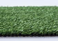 Groen het Modelleren Fibrillated Garen 10mm van het Huisdieren Kunstmatig Gras pp
