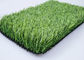 25mm Antibacterieel Garen Kunstmatig Gras voor Huisdieren Geen Schadelijke Dichtheid 11000
