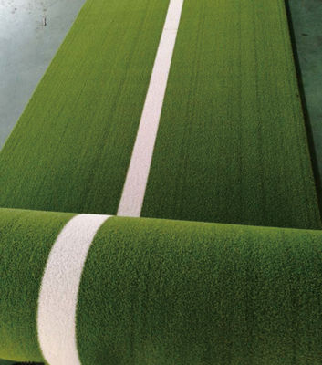 Groen voor altijd Sportengras Mat For Gym/Huisdieren Vriendschappelijk Synthetisch Gras