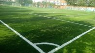 Het UV Bestand Gras van Astro van de Voetbalhoogte, het Kunstmatige het Gebied van het Grasvoetbal Natuurlijke Glijden