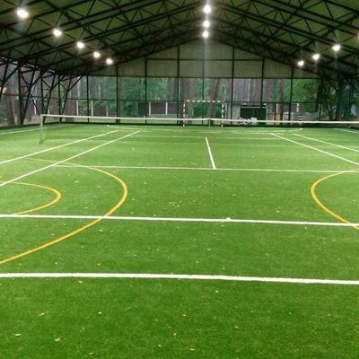 mini de voetbalgras van het voetbalgebied voor binnen futsal hof vuurvast kunstmatig gras voor gebiedsvoetbal