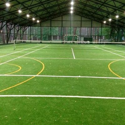 mini de voetbalgras van het voetbalgebied voor binnen futsal hof vuurvast kunstmatig gras voor gebiedsvoetbal