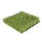 het professionele synthetische gras van het voetbalgebied voor het kunstmatige gras van de voetbalvoetbal